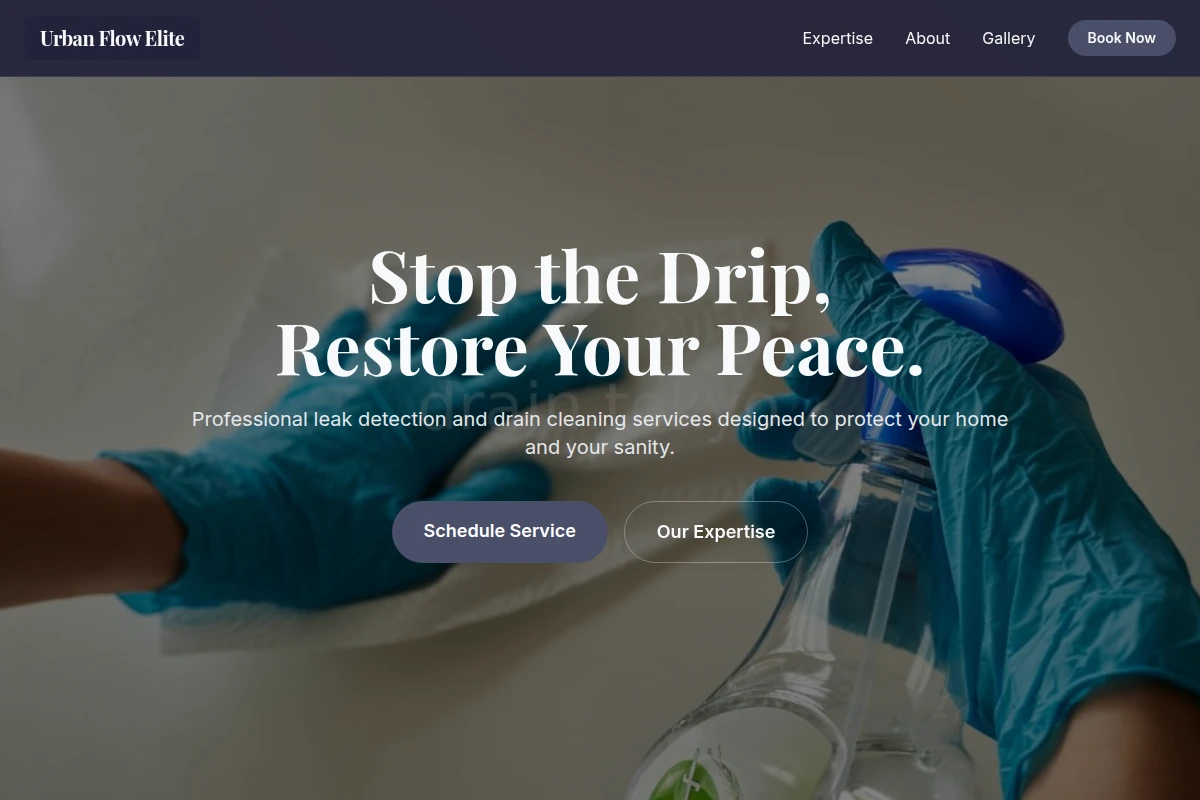 Leak Cleaning