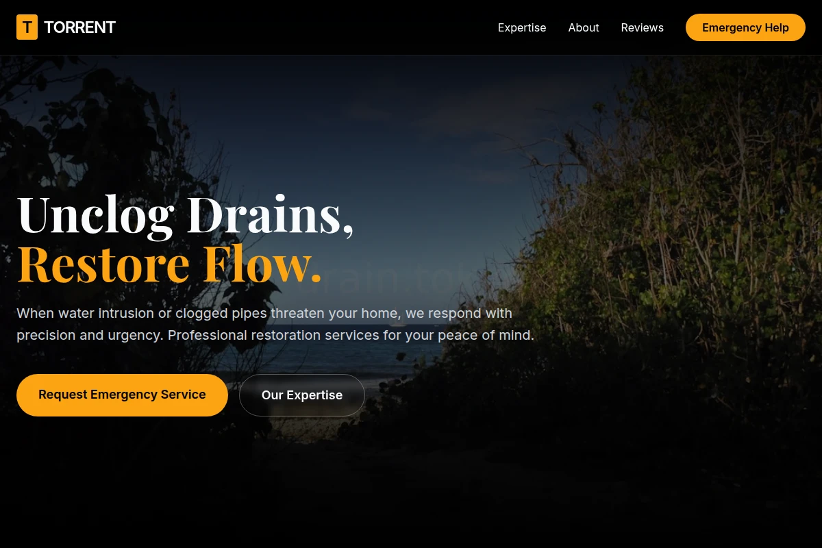 Torrent Water Restoration